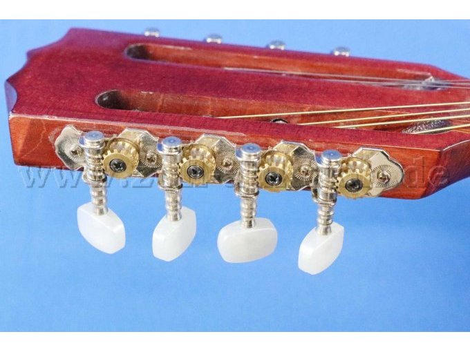 Seitenansicht Kopfteil Wirbel