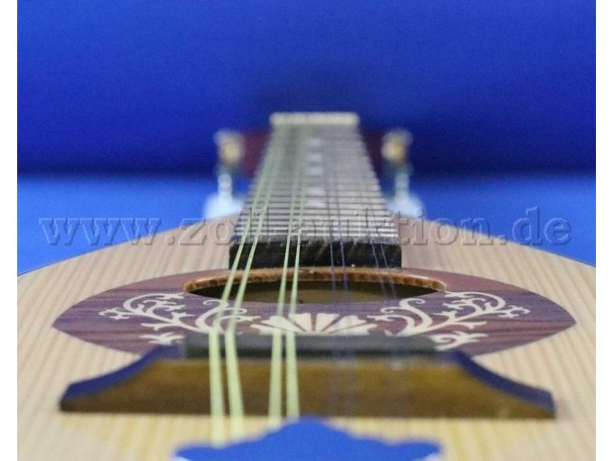 Detailansicht Korpus Hals Kopfverlauf