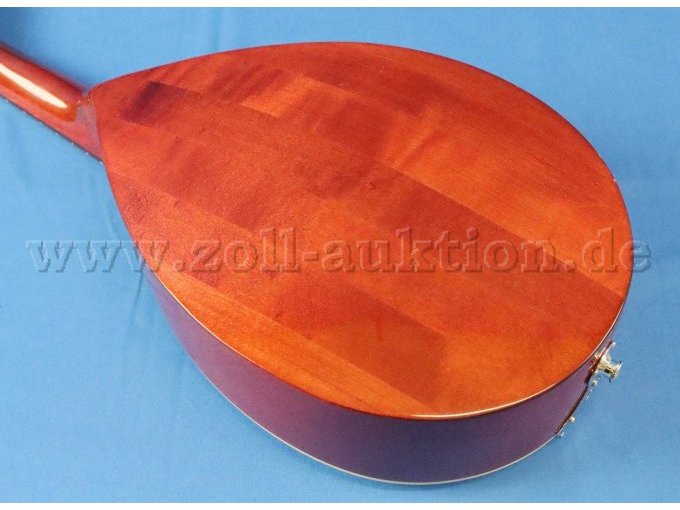 Ansicht Korpus Rückseite