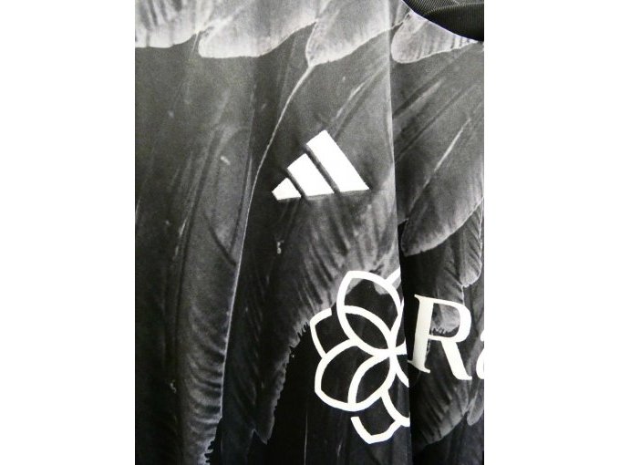 Fußballtrikot Besiktas Istanbul_ Logo Adidas
