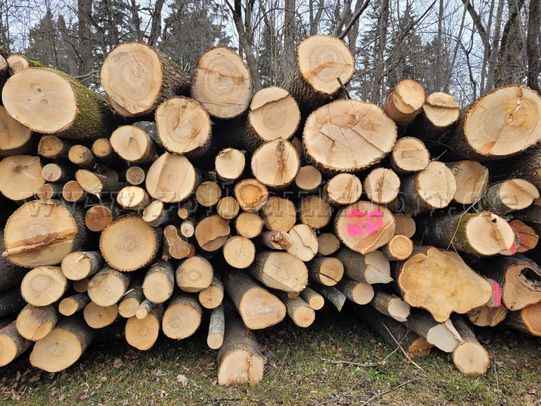 20 Raummeter Brennholz