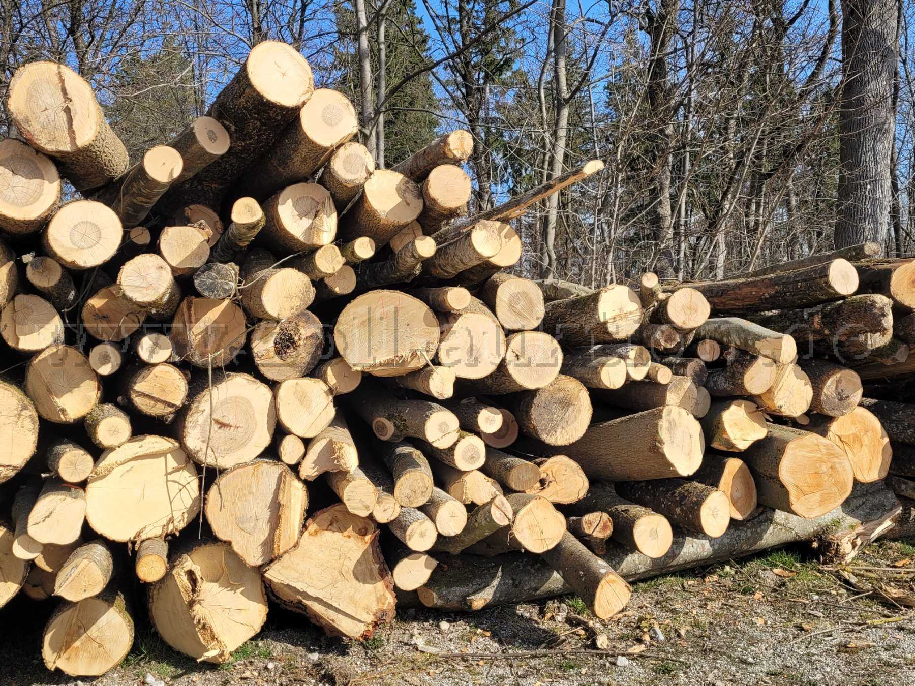 20 Raummeter Brennholz