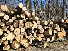 20 Raummeter Brennholz