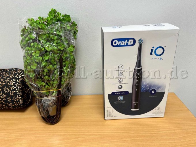 Zwei Kunstpflanzen von einer unbekannten Marke, elektrische Zahnbürste von Oral-B "io Series 6N"