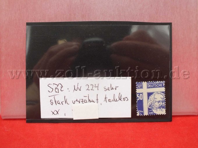 Detailaufnahme der Briefmarke
Michel Nr. 224