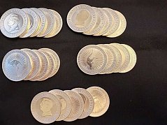 Anlagemünze mit jährlich gleichbleibendem Motiv
