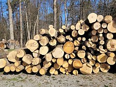 25 Raummeter Brennholz