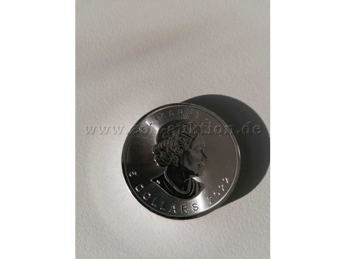 Ansicht Queen Ansicht Queen