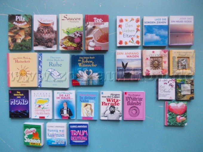 25 Mini-Bücher