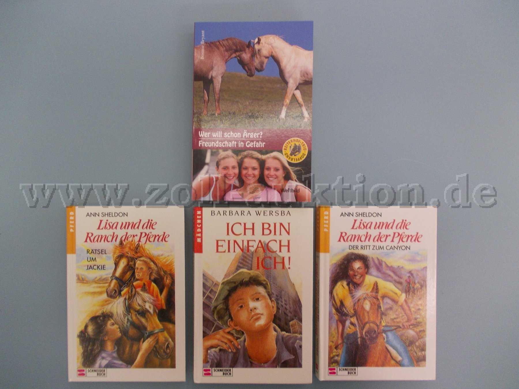 4 von 28 Büchern