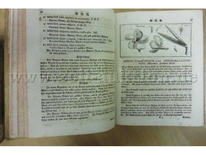 Band 2 Seite 36 und 37