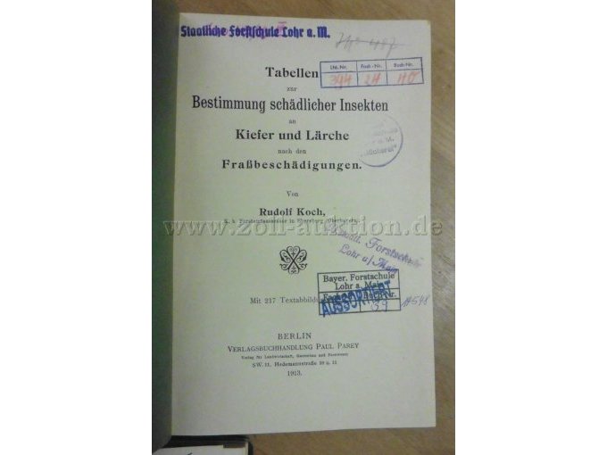 Titelblatt Kiefer und Lärche