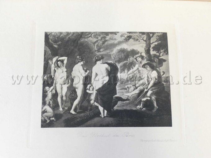 2 Bände - Die Dresdener Galerie in Photogravuren nach den Original-Gemälden – foto 12 – kavel bij Zoll-Auktion, Dresden