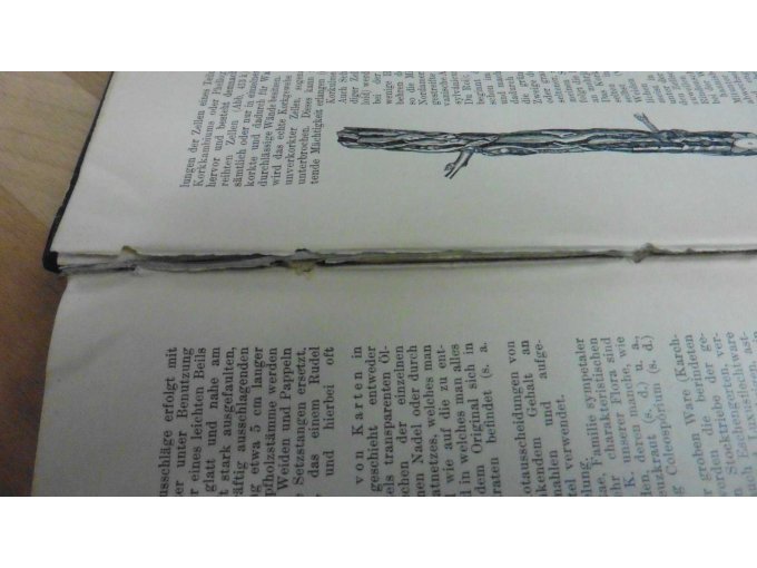 Verklebung löst sich im hinteren Teil des Buches
