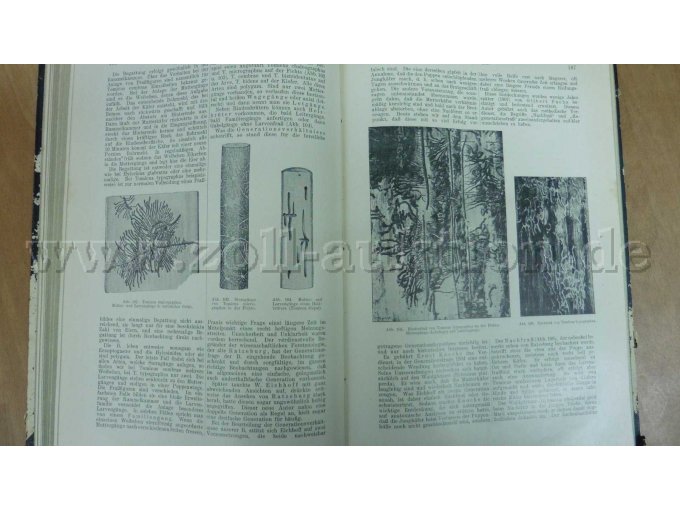 Band 1, Seite 166/167