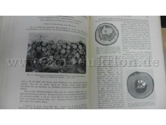 Band 2, Seite 296/297