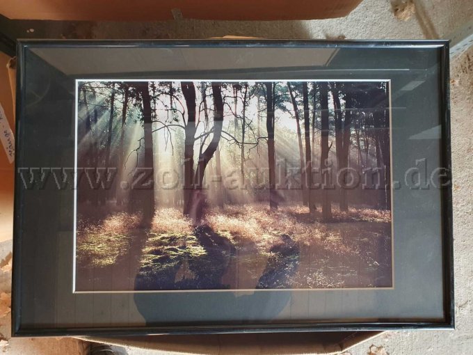 2 fotolijsten - 61 x 41 cm - zwart, fabrikant onbekend – kavel bij Zoll-Auktion, Nuthe-Urstromtal