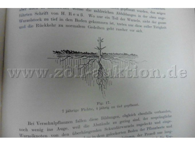 bbildung Die Grundlagen der räumlichen Ordnung