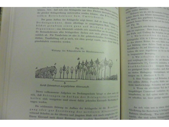 Abbildung Der Blendersaumschlag