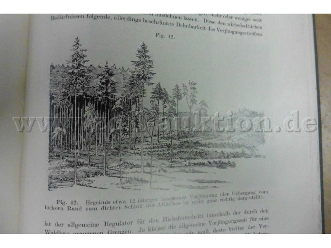 Abbildung Die Grundlagen der räumlichen Ordnung