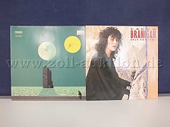 Gesamtansicht der LPs Mike Oldfield und Laura Branigan, mit Beschädigungen