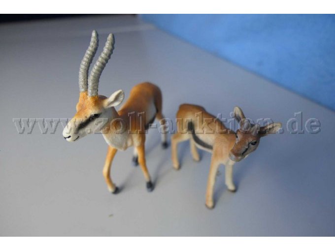 Die Tiere von vorne