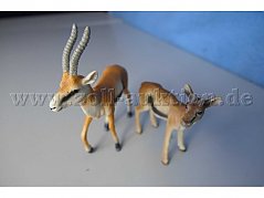 Die Tiere von vorne