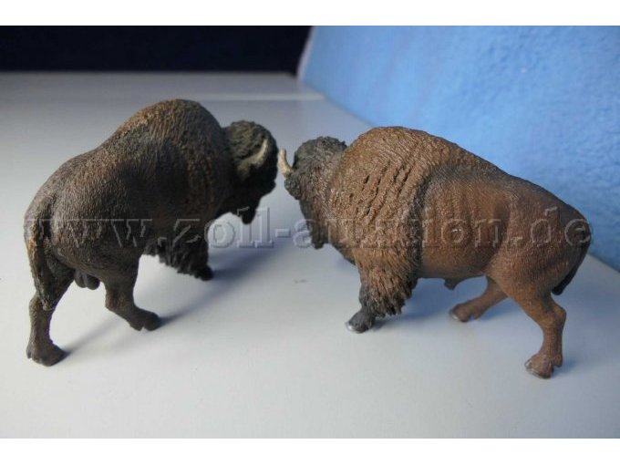 Tiere von hinten seitlich