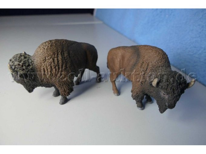 Tiere von seitlich
