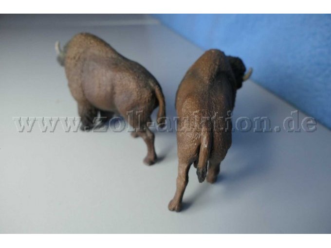 Tiere von hinten