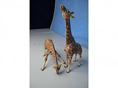 Das Giraffenpaar von vorne
