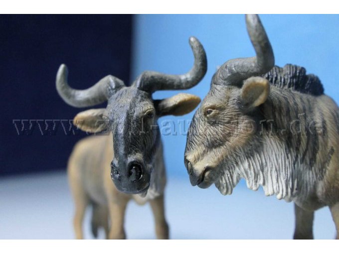 Schleich Gnu Gesamtansicht Köpfe