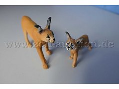 Tiere von vorne