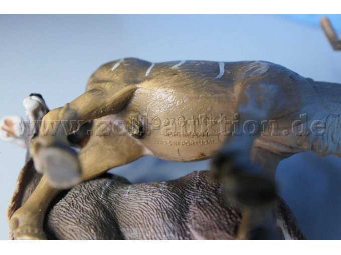 Details am Bauch am anderen Tier