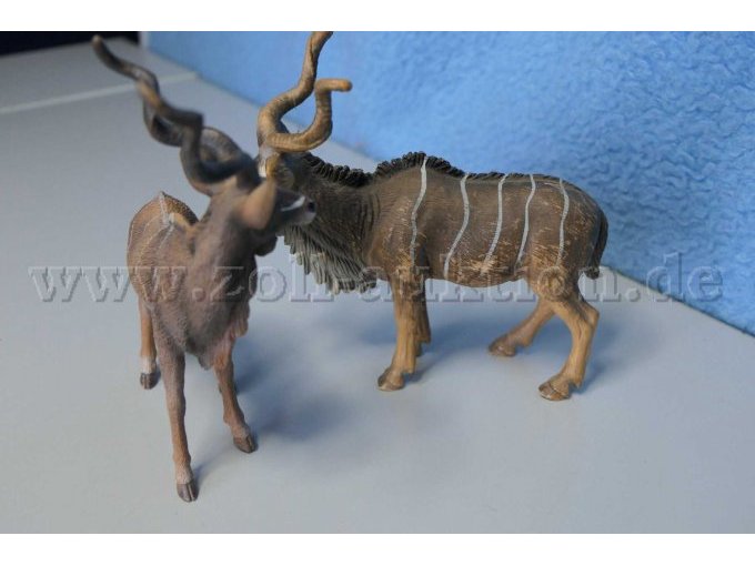 seitliche Ansicht der Tiere