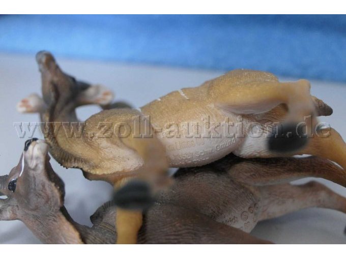 Details am Bauch an einem Tier