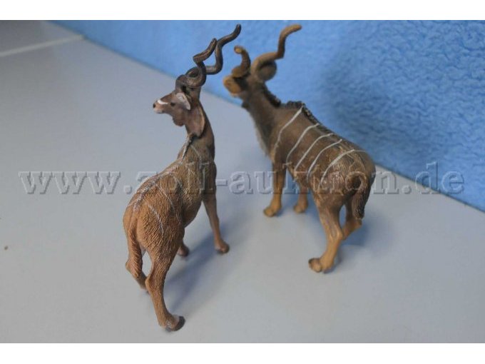 Hinterteile der Tiere