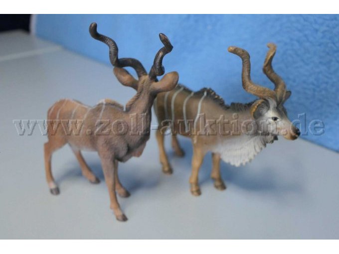 seitliche Ansicht der Tiere