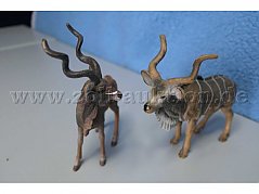 Die beiden Tiere von vorne