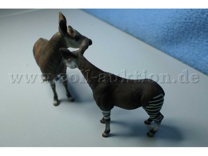 Tiere von der anderen Seite