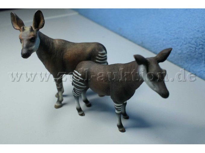 Tiere von der Seite