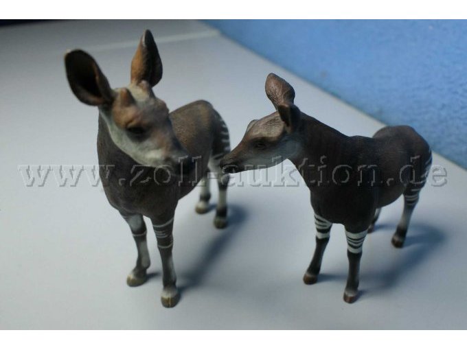 Tiere von vorne