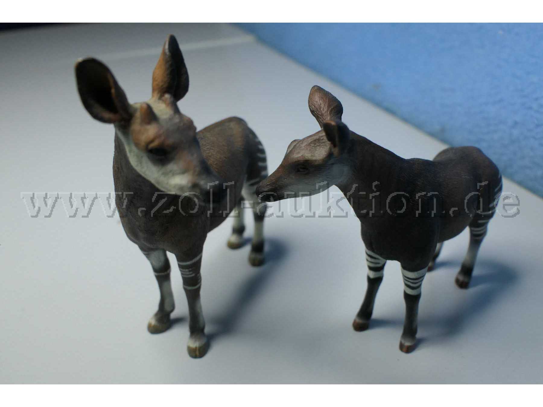 Tiere von vorne