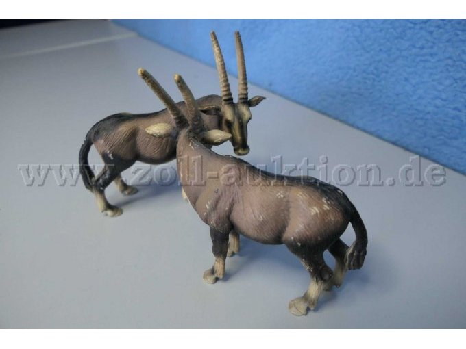Tiere von der Seite