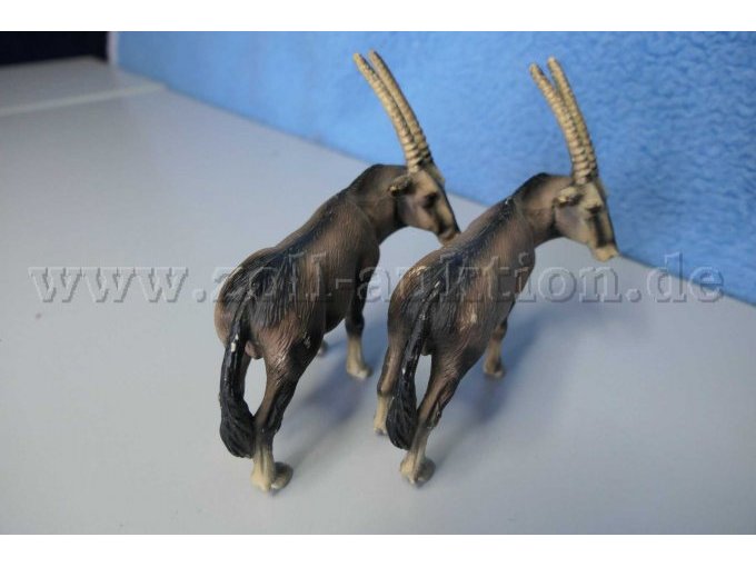 Tiere von hinten