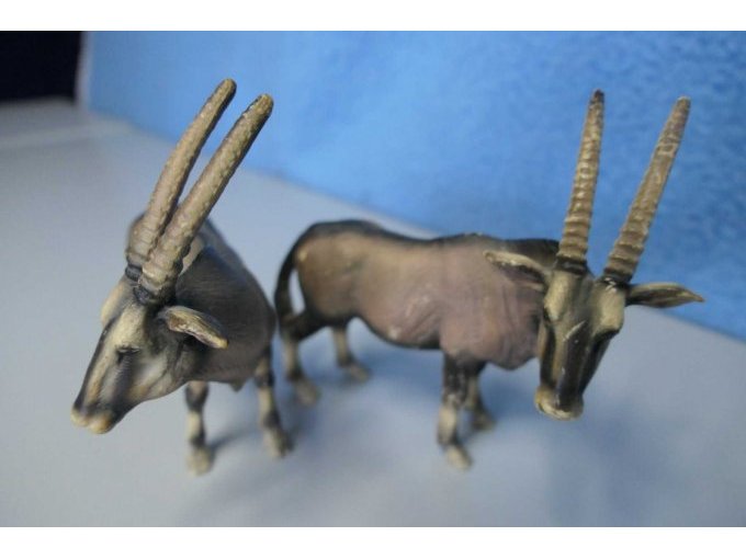 Tiere von vorne