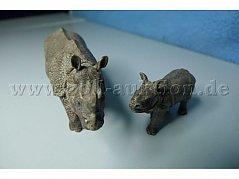 Tiere von vorne