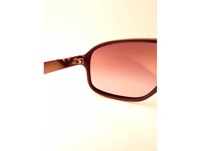 1 Emporio Armani Sonnenbrille_ Gestellübergang mit Adler