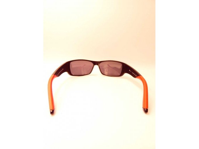 1 Emporio Armani Sonnenbrille_ Hinteransicht