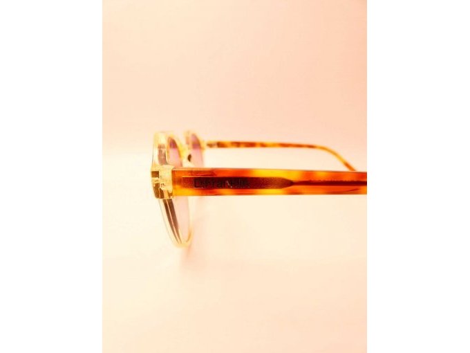 1 Sonnenbrille D. Franklin_ Seitenansicht linke Seite mit Logo